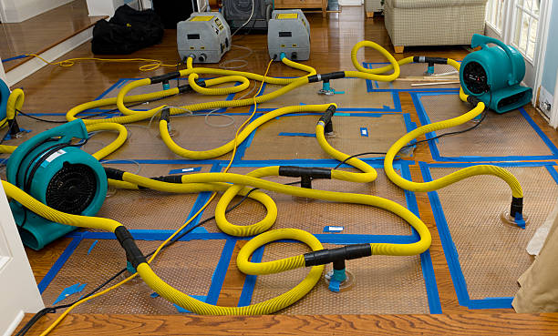 Professional Water Damage Repair technician working in Junction City, KS